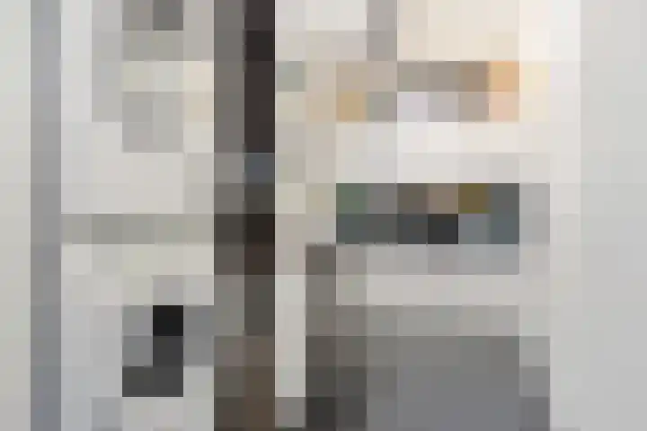 Brandingdijk 98 Rotterdam thumbnail 39