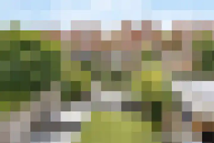 Brandingdijk 98 Rotterdam thumbnail 40