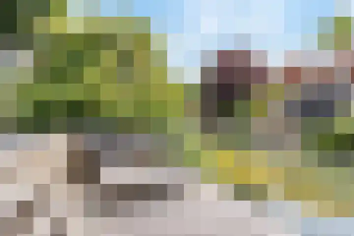 Brandingdijk 98 Rotterdam thumbnail 42