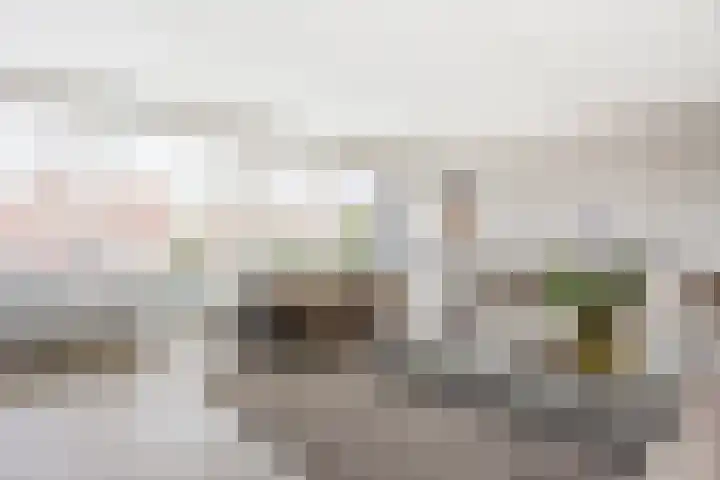 Brandingdijk 98 Rotterdam thumbnail 8