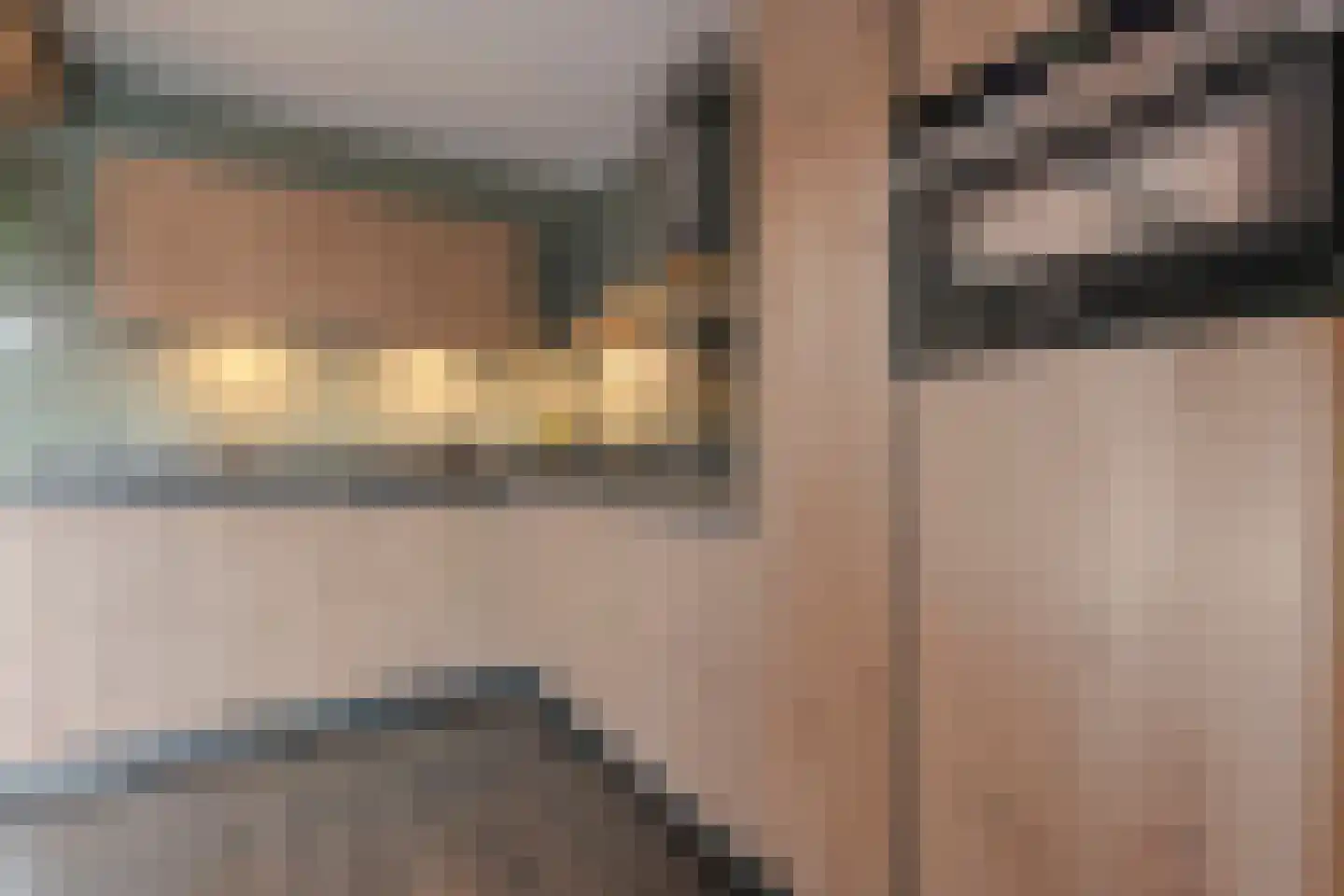 Brandkolk 1 Lattrop-Breklenkamp thumbnail 10