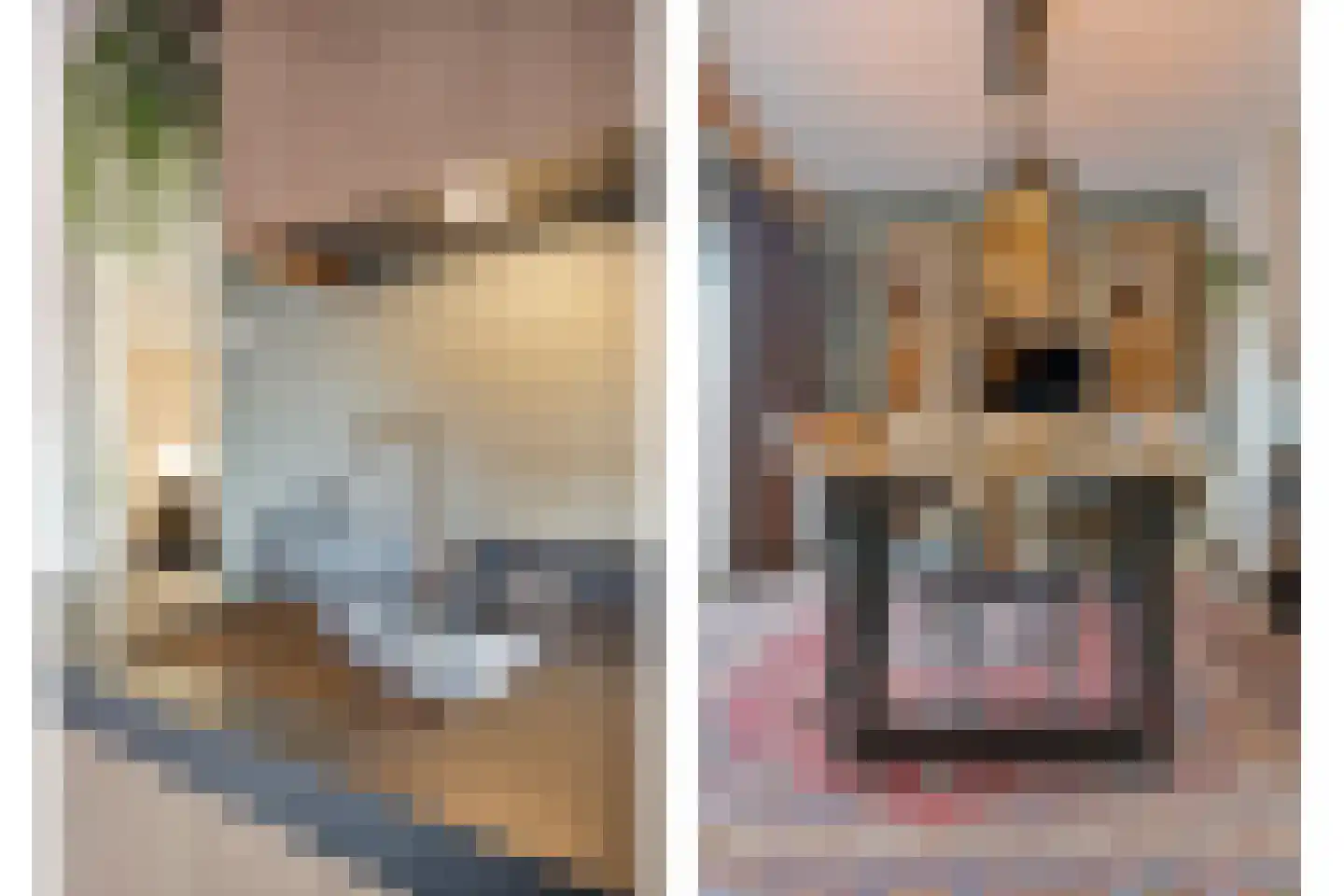 Brandkolk 1 Lattrop-Breklenkamp thumbnail 11