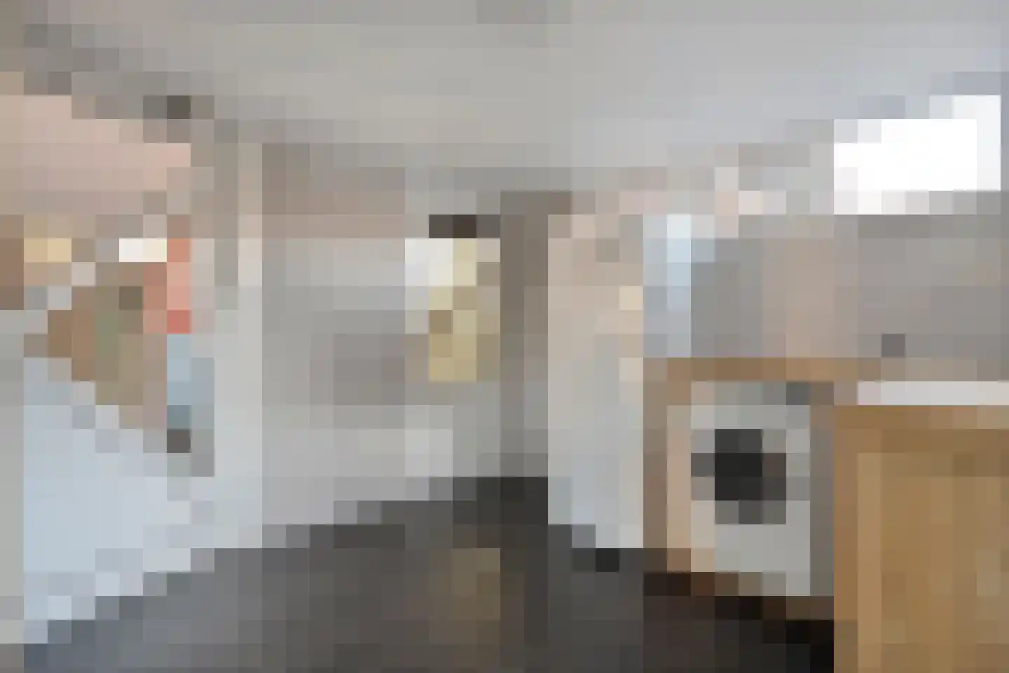 Brandkolk 1 Lattrop-Breklenkamp thumbnail 12
