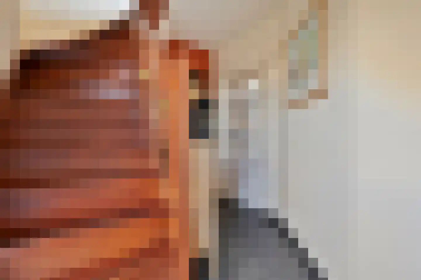 Brandkolk 1 Lattrop-Breklenkamp thumbnail 13