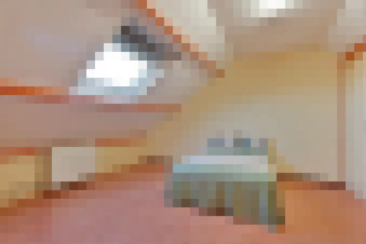Brandkolk 1 Lattrop-Breklenkamp thumbnail 22