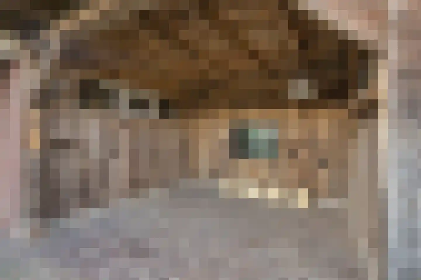 Brandkolk 1 Lattrop-Breklenkamp thumbnail 25