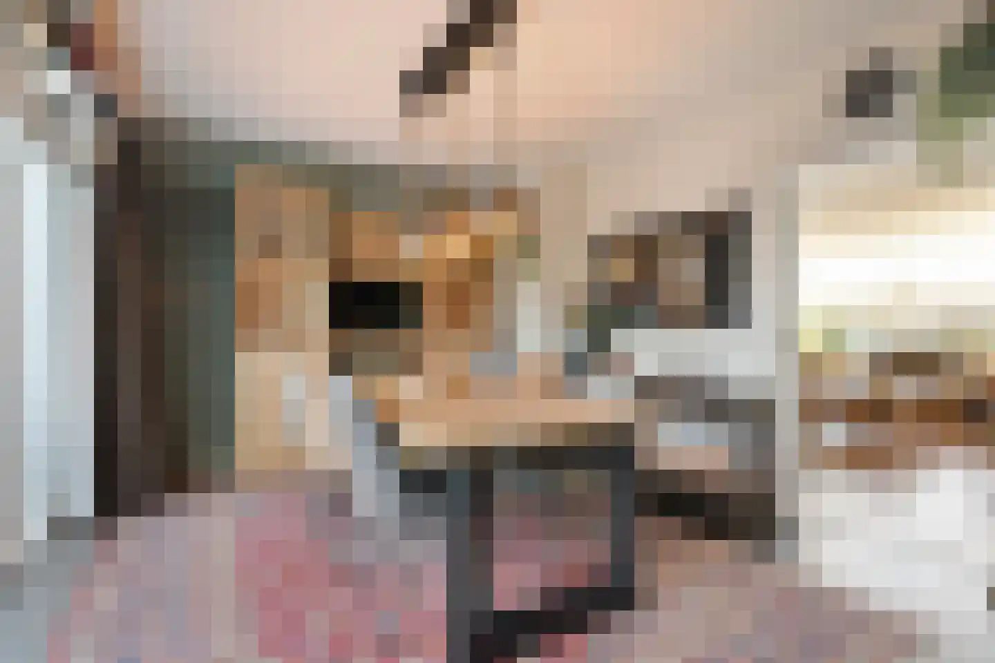 Brandkolk 1 Lattrop-Breklenkamp thumbnail 8