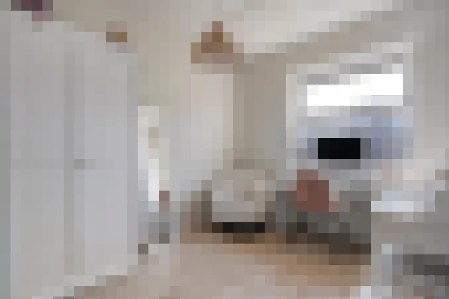 Brandlicht 21 Rijssen thumbnail 27