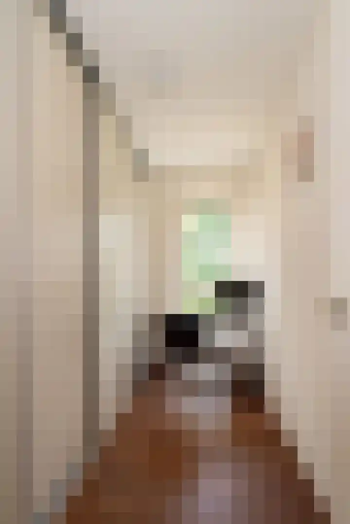 Brandlicht 59 Rijssen thumbnail 19