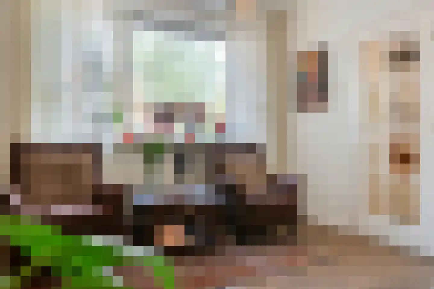 Brandlichterweg 14 Denekamp thumbnail 11