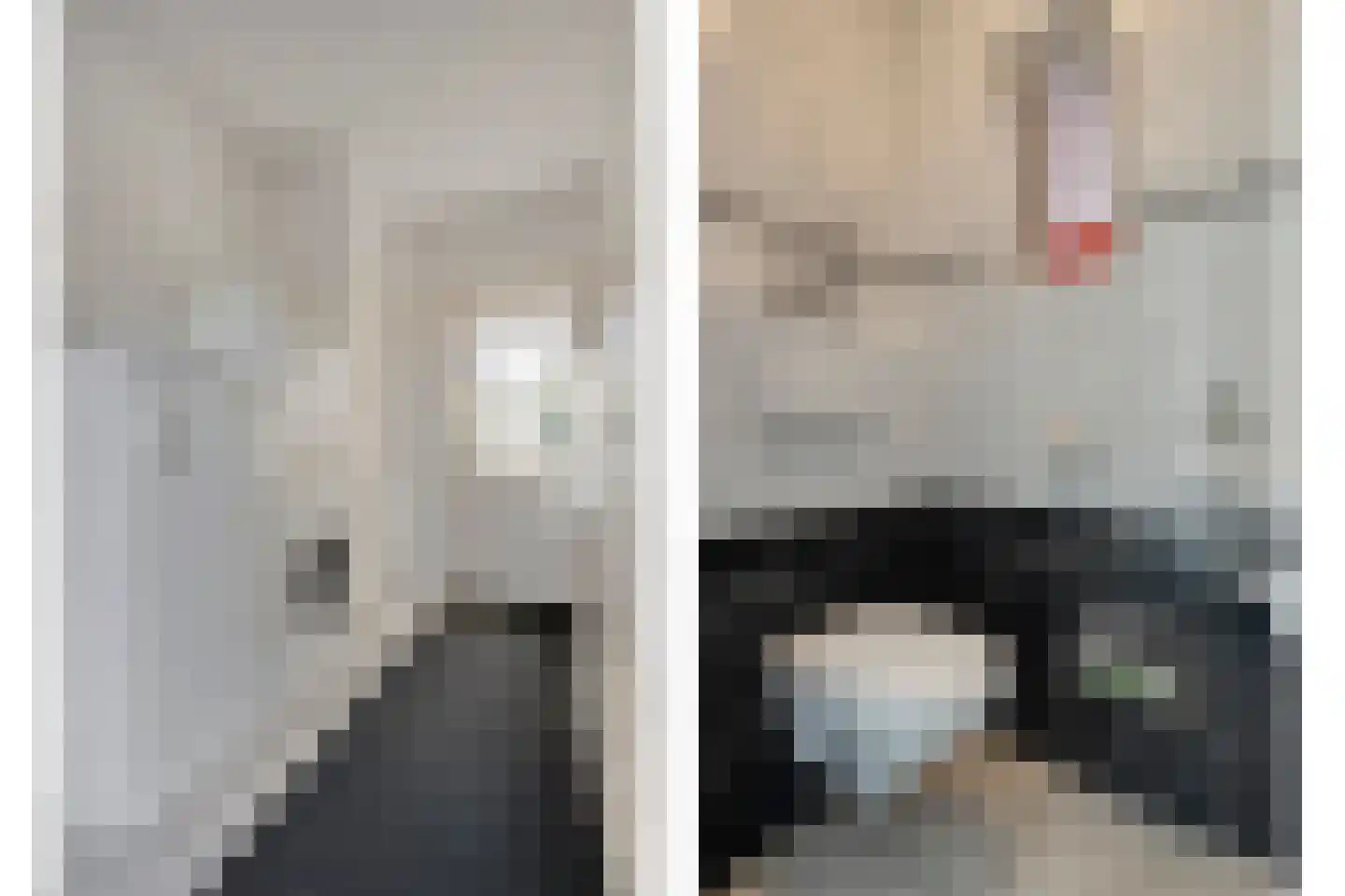 Brandlichterweg 14 Denekamp thumbnail 18