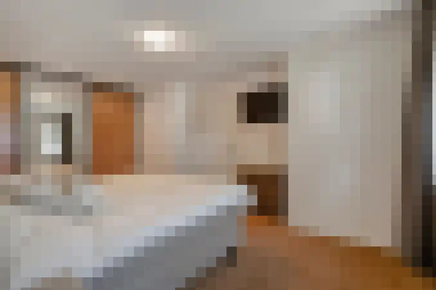 Brandlichterweg 14 Denekamp thumbnail 19
