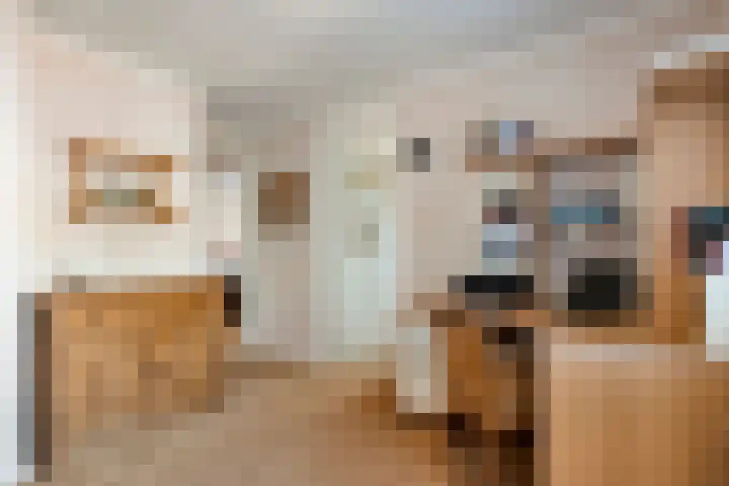 Brandlichterweg 14 Denekamp thumbnail 20