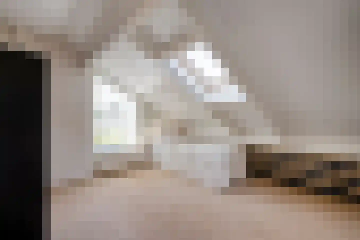 Brandlichterweg 14 Denekamp thumbnail 22