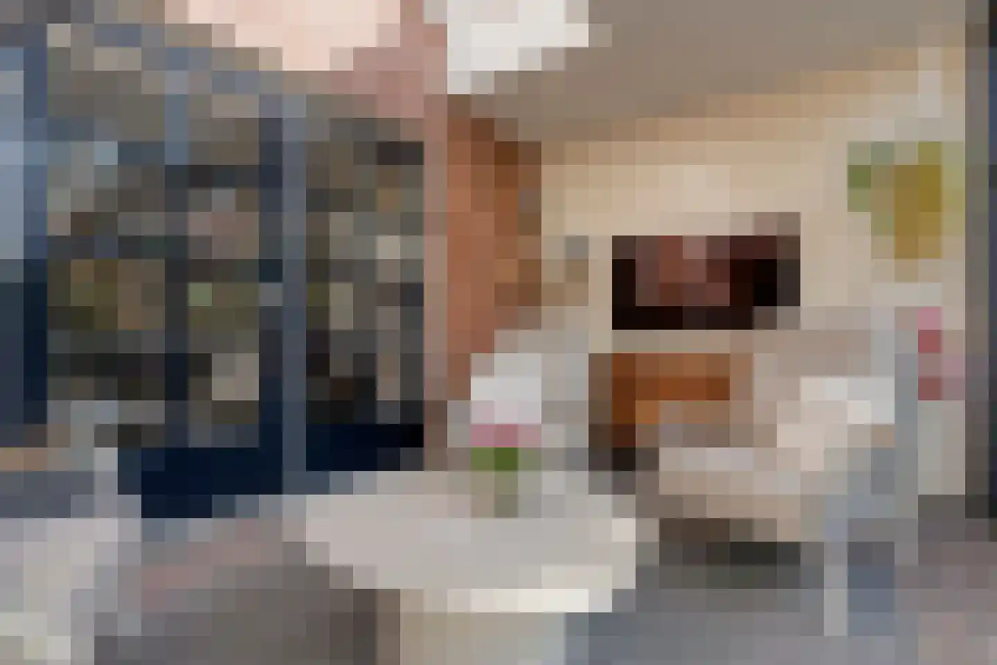 Brandlichterweg 14 Denekamp thumbnail 25