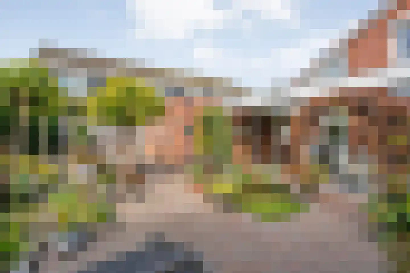 Brandlichterweg 14 Denekamp thumbnail 5