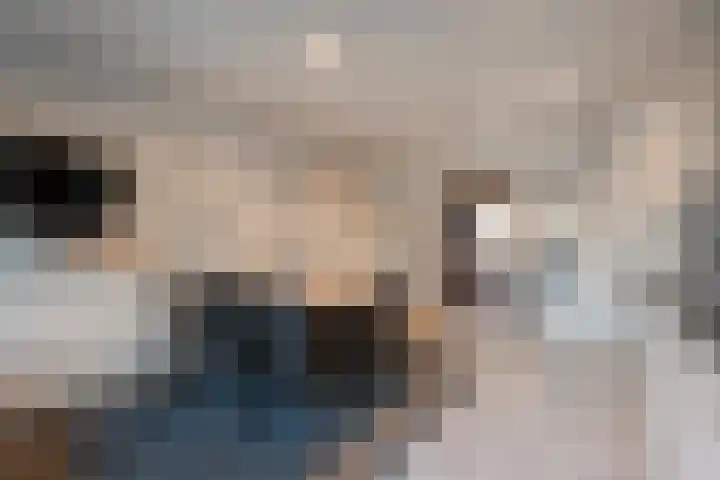 Brandlichterweg 23 Denekamp thumbnail 12