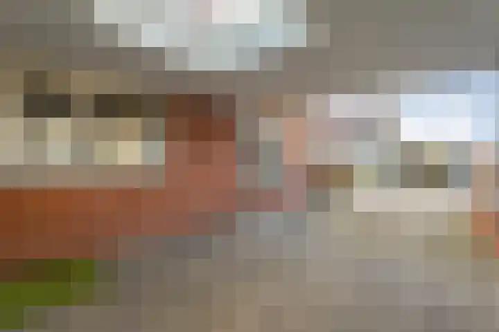 Brandlichterweg 23 Denekamp thumbnail 23
