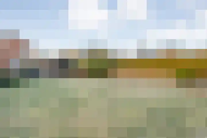 Brandlichterweg 23 Denekamp thumbnail 4