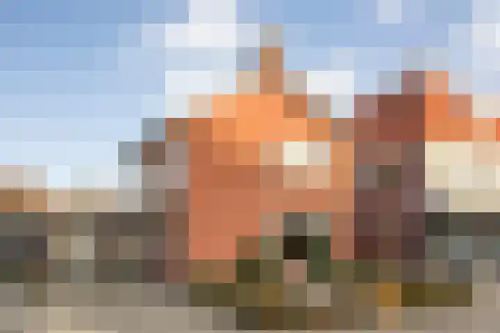 Brandlichterweg 23 Denekamp thumbnail 5