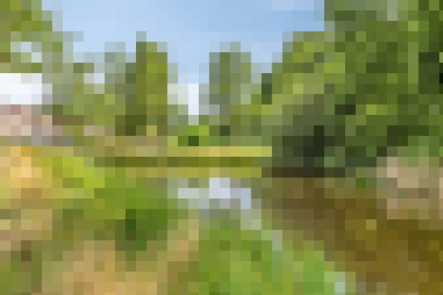 Brandlichterweg 50 B Denekamp thumbnail 36