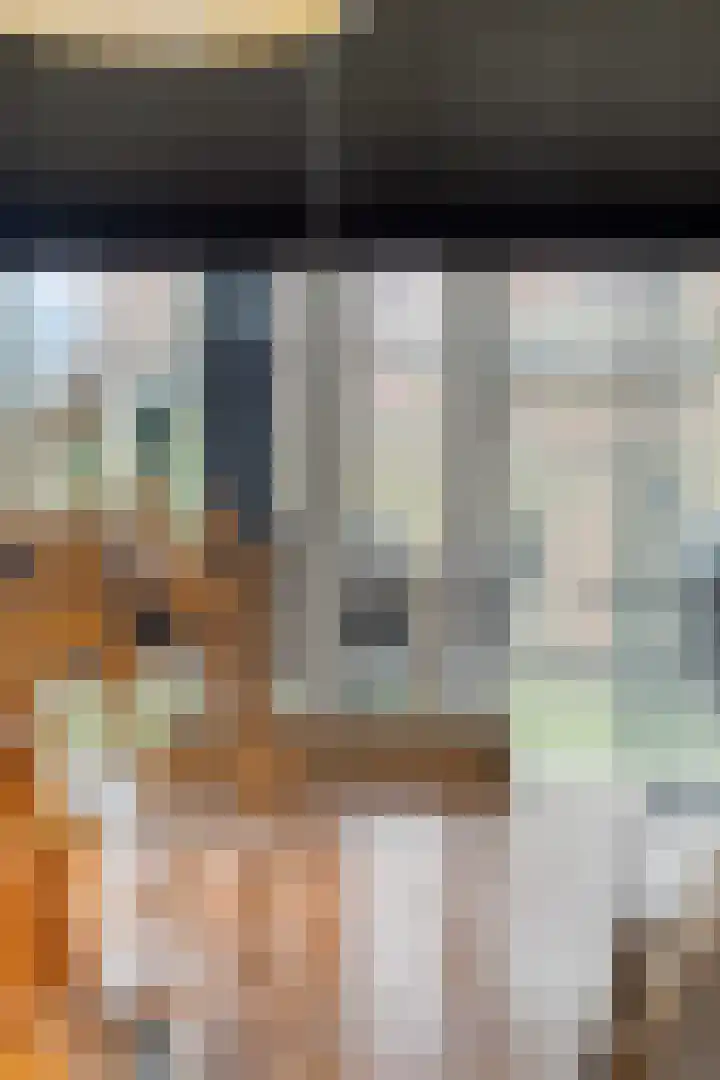 Brandlichterweg 50 C Denekamp thumbnail 15