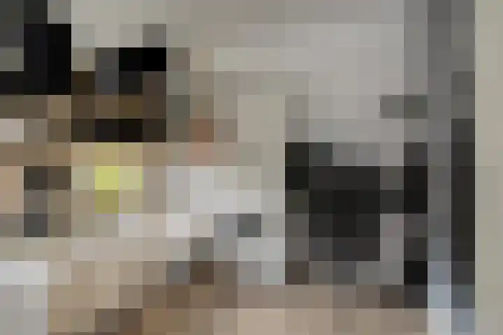 Brandlichterweg 50 C Denekamp thumbnail 27