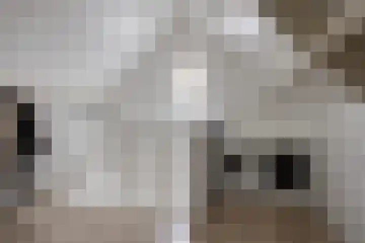 Brandlichterweg 50 C Denekamp thumbnail 30