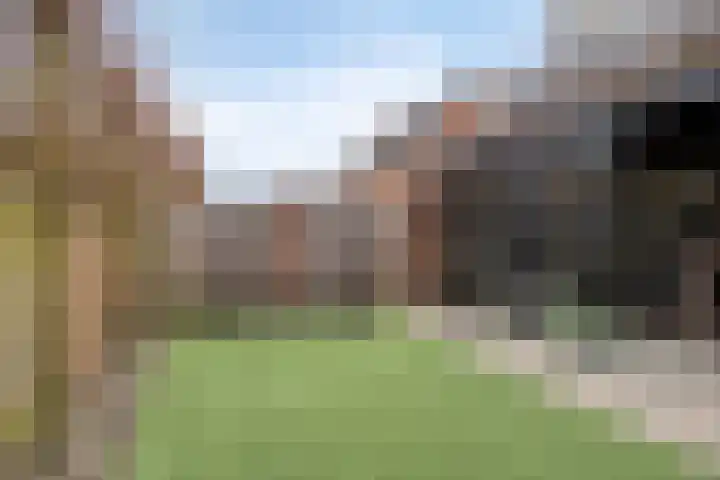 Brandlichterweg 50 C Denekamp thumbnail 32