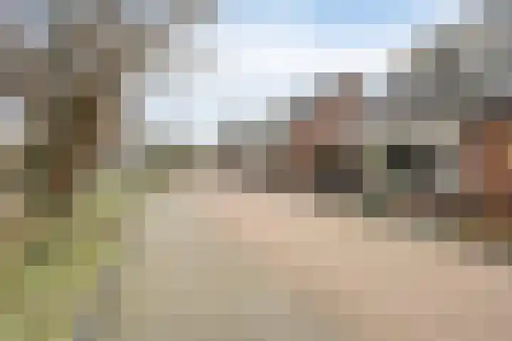 Brandlichterweg 50 C Denekamp thumbnail 36