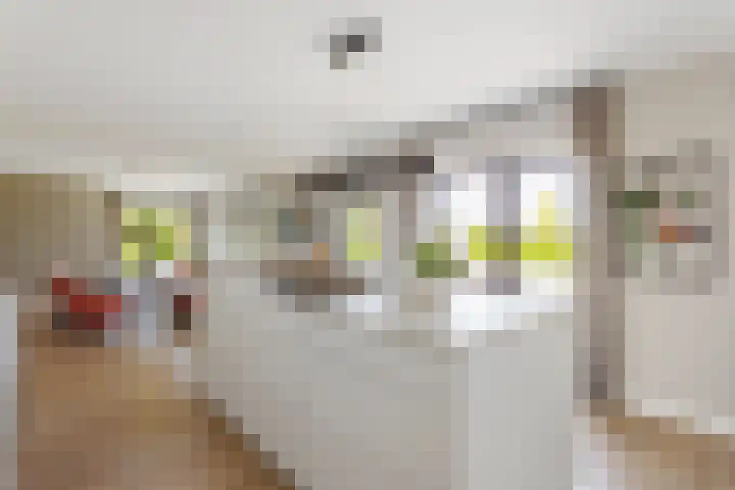 Brandlichterweg 65 Denekamp thumbnail 12