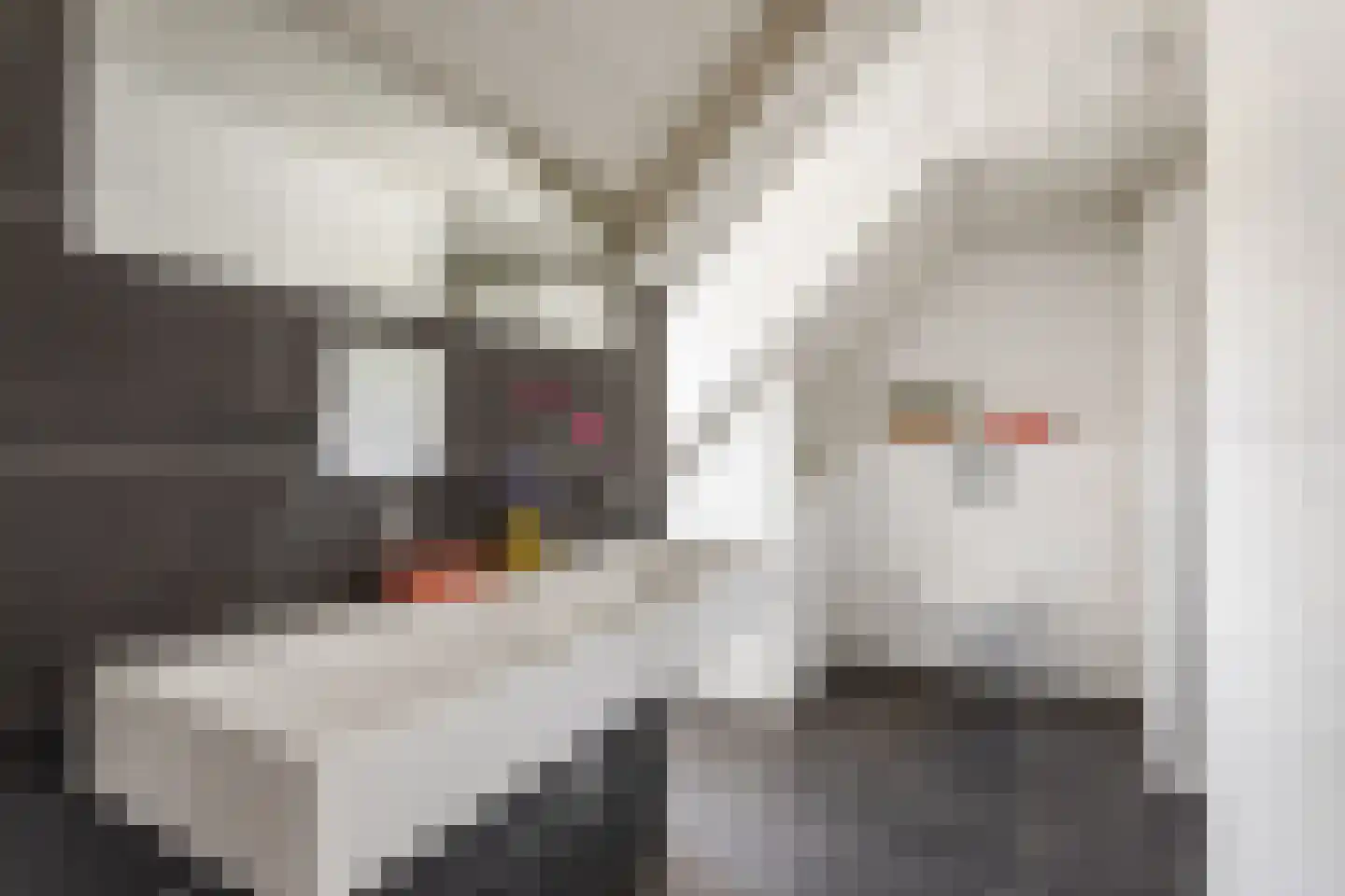 Brandlichterweg 65 Denekamp thumbnail 16