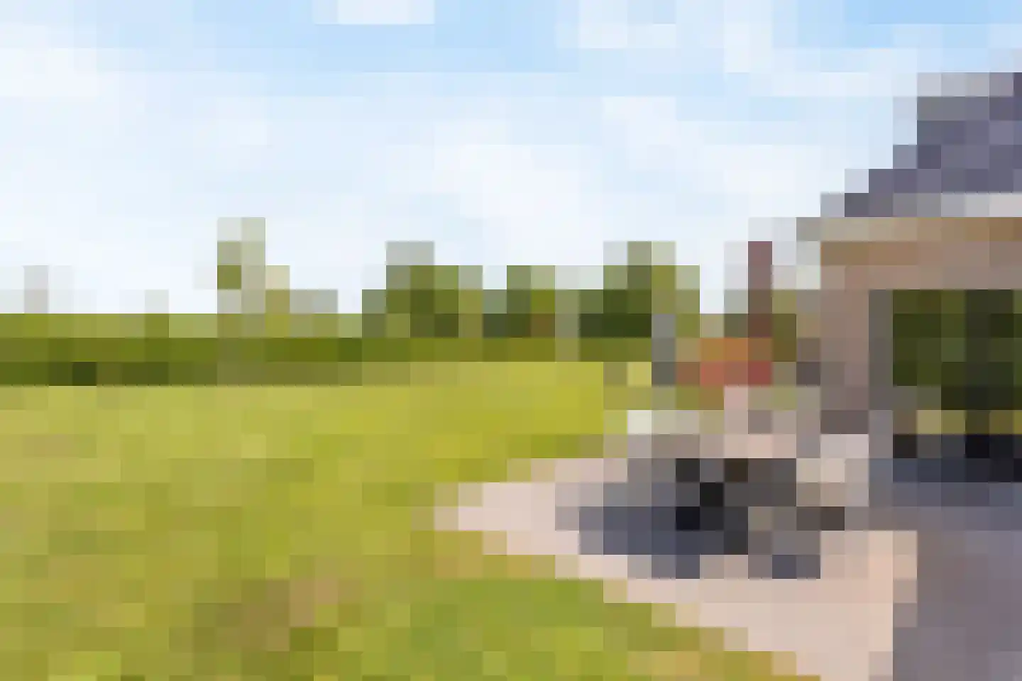 Brandlichterweg 65 Denekamp thumbnail 25