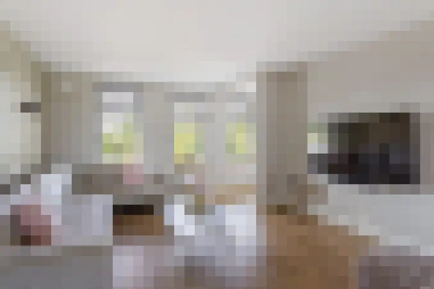 Brandlichterweg 65 Denekamp thumbnail 8