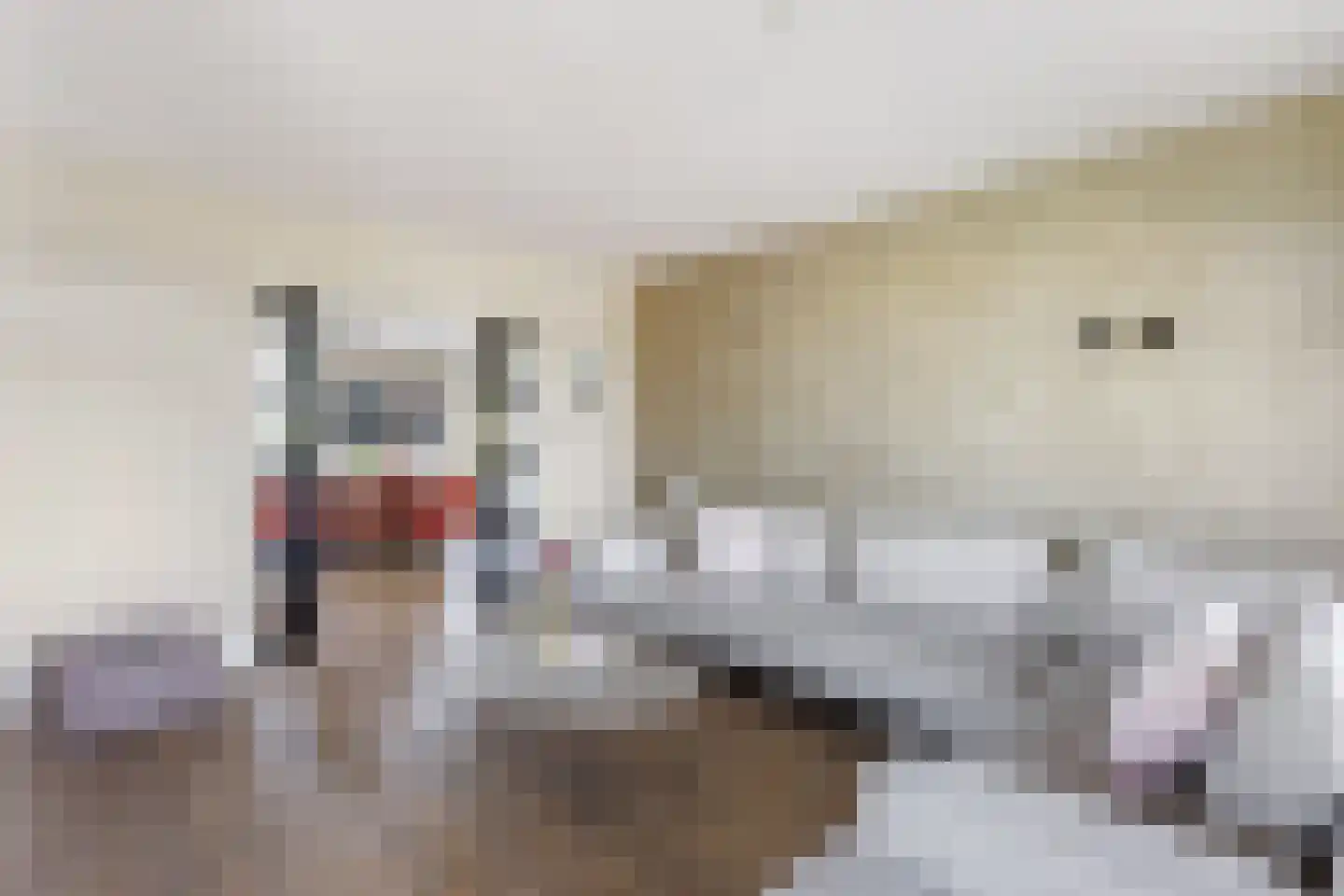 Brandlichterweg 65 Denekamp thumbnail 9