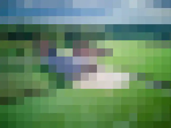 Brandlichterweg 99 Denekamp thumbnail 10