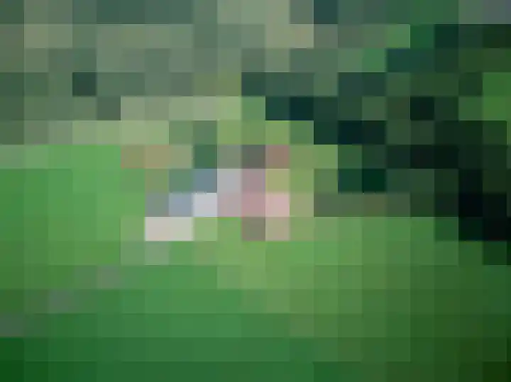 Brandlichterweg 99 Denekamp thumbnail 12