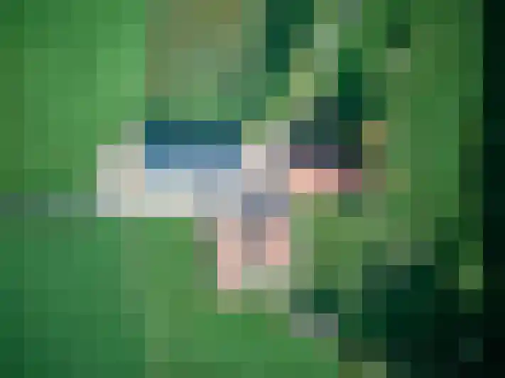 Brandlichterweg 99 Denekamp thumbnail 15