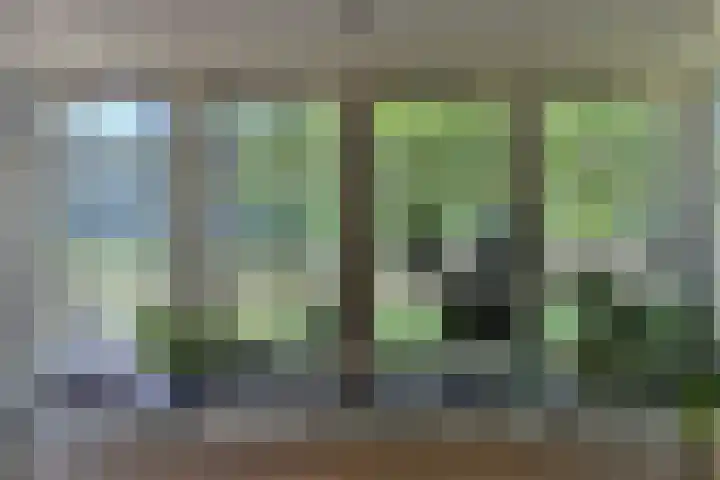 Brandlichterweg 99 Denekamp thumbnail 17