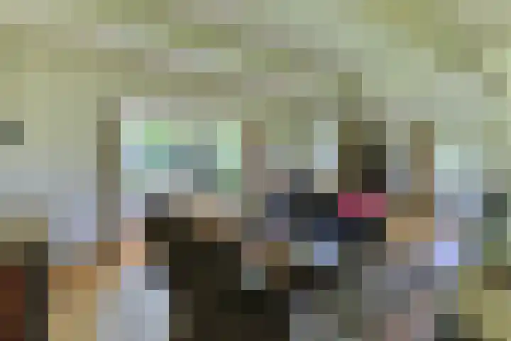Brandlichterweg 99 Denekamp thumbnail 18