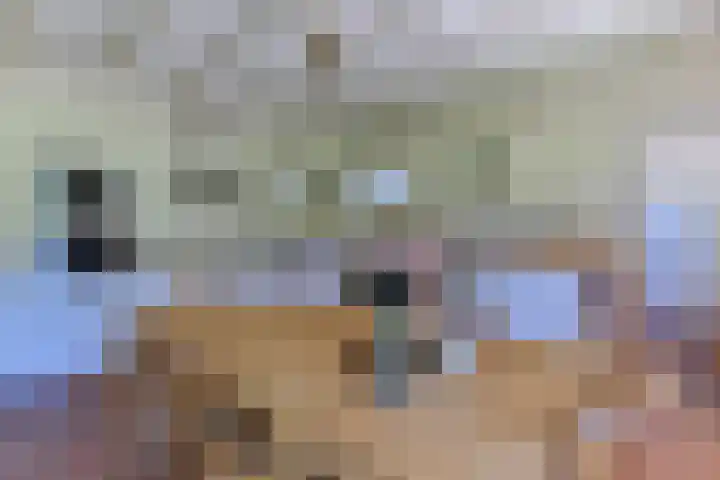 Brandlichterweg 99 Denekamp thumbnail 19