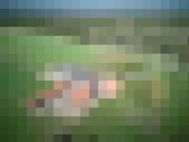 Brandlichterweg 99 Denekamp thumbnail 4