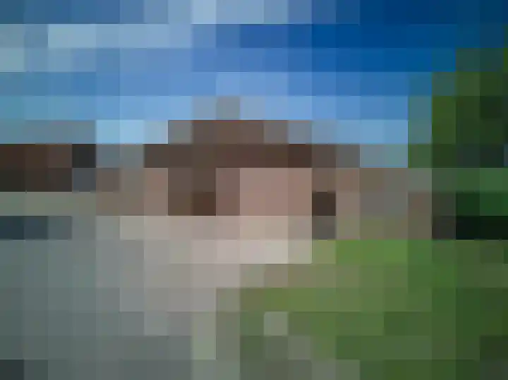 Brandlichterweg 99 Denekamp thumbnail 7