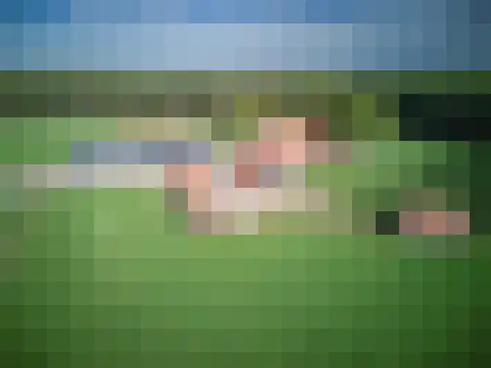 Brandlichterweg 99 Denekamp thumbnail 9