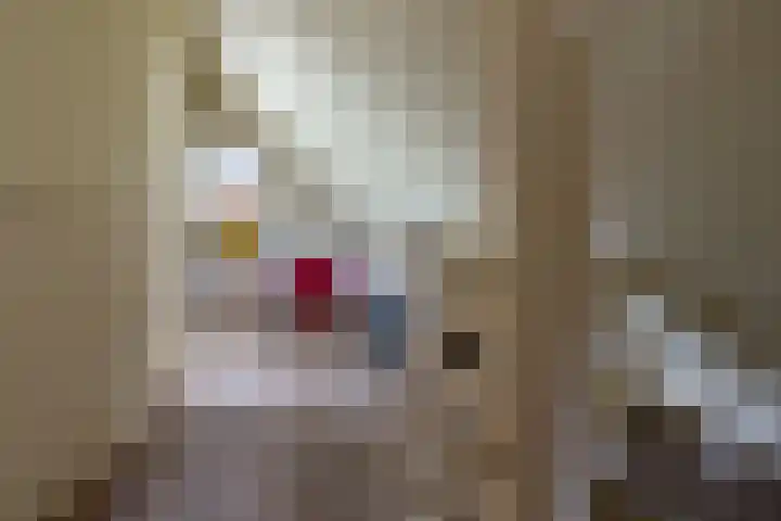 Brandligtswijk 104 Elim thumbnail 34