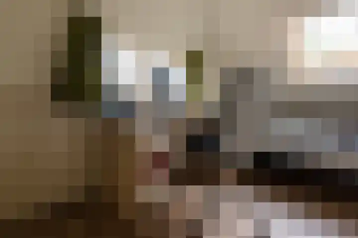 Brandligtswijk 104 Elim thumbnail 36