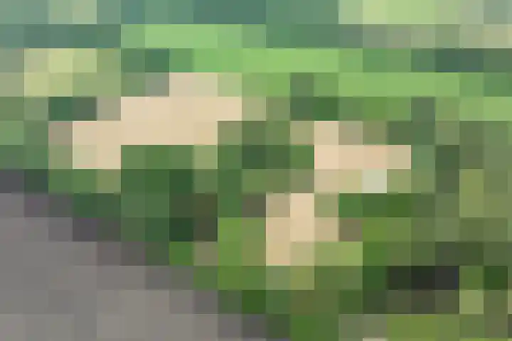 Brandligtswijk 104 Elim thumbnail 39
