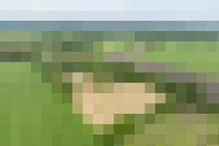 Brandligtswijk 104 Elim thumbnail 4