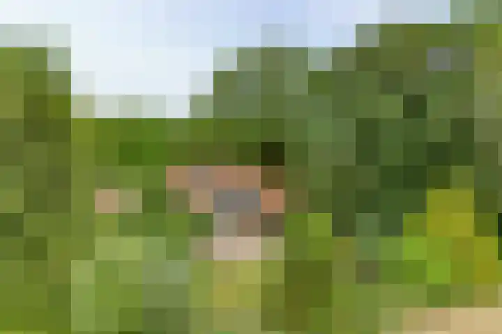 Brandligtswijk 104 Elim thumbnail 40