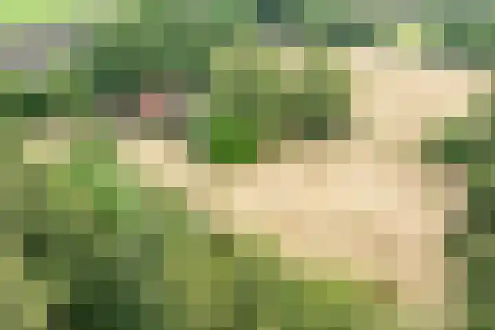 Brandligtswijk 104 Elim thumbnail 41